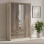 Ντουλάπα ρούχων τρίφυλλη OLYMPUS pakoworld χρώμα castillo-toro 120x57x183εκ